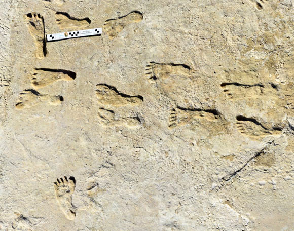 23,000-Year-Old Human Footprints Discovered in New Mexico Image_10100_1-White-Sands-Footprints