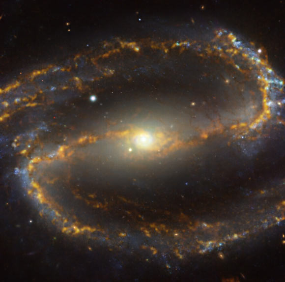 Astronomers Spot Spiral within Spiral: NGC 1300 Image_10445-NGC-1300