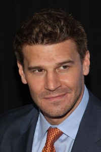 Profile Image Request David-boreanaz-bones-assault