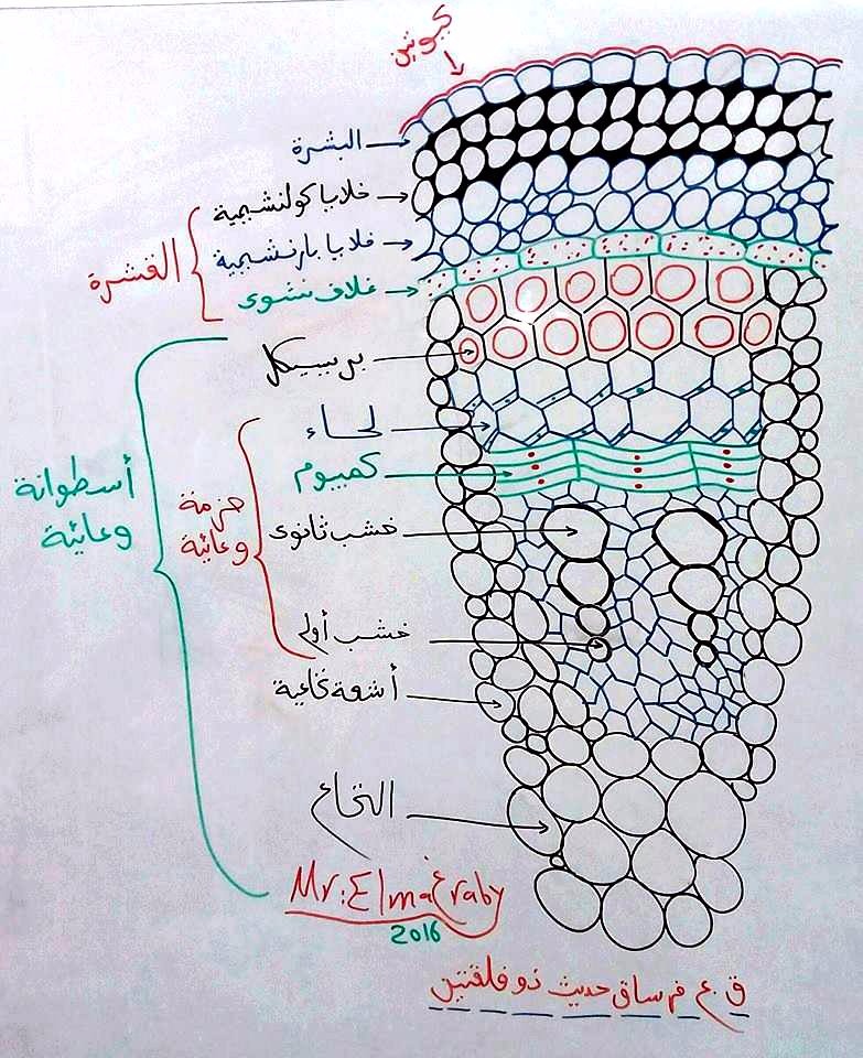 بعض الرسومات الهامة للصف الثاني الثانوي I287104489247983057._szw1280h1280_