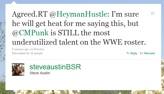 Ανταπόκριση Twitter Steve Austin να Paul Heyman / Punk CM HEYMAN-TWEET-4