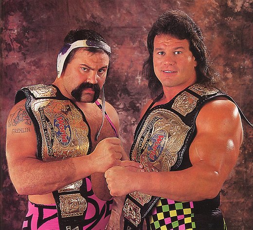 The Top Ten Greatest Wrestling Tag Teams Of All Time Steiner-brothers