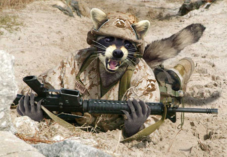 Es Oficial: Raccoon Squad 1000x500px-LL-20f3052b_Raccoon-Soldier