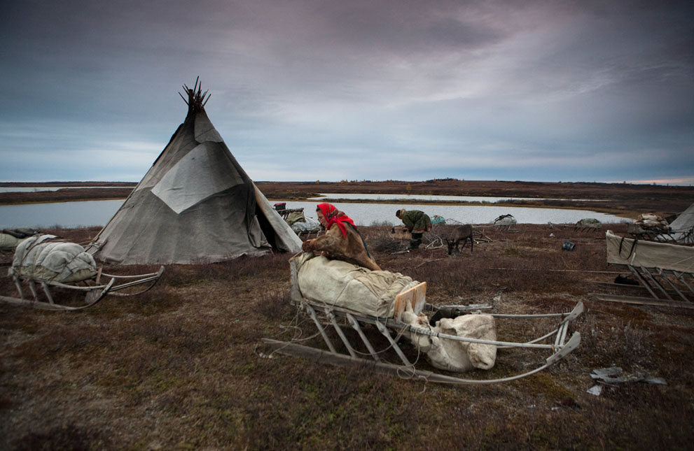 [The Picture] Tìm Hiểu về Cuộc Sống Của Người NeNets. S_n10_nets0454