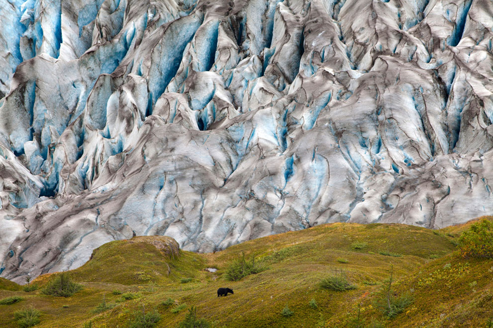 [The Big Picture] Cuộc thi ảnh của National Geographic 2011 (P2)