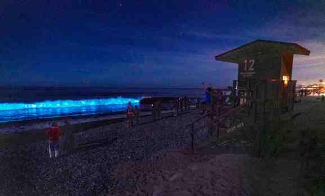 Những con sóng phát sáng ở bờ biển Nam California 0515-nhung-con-song-phat-sang-o-bo-bien-nam-california-docx-1589499807042-104613SA