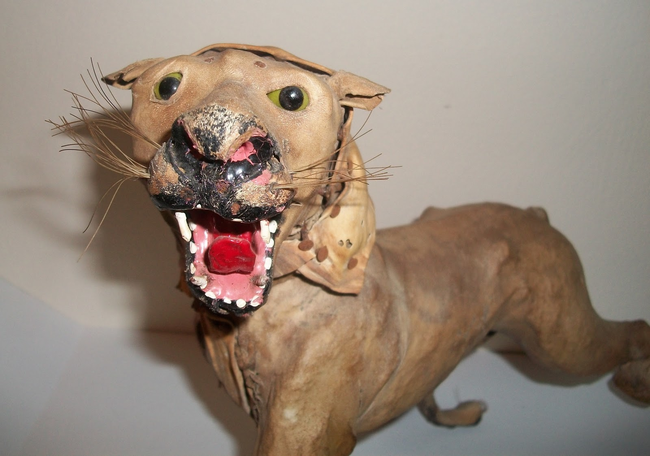 Mátame, camión! (El Tópic de la Taxidermia Chunga) - Página 6 Image-BrwjIL5M