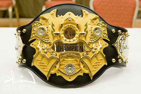 International MMA title belt gallery 3163461972_486f39d479_medium