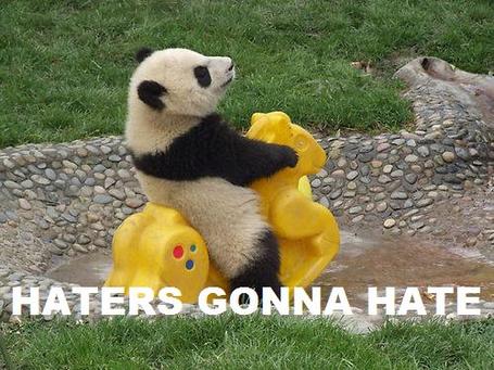 Post all funny pictures here! Haters-gonna-hate-panda_medium