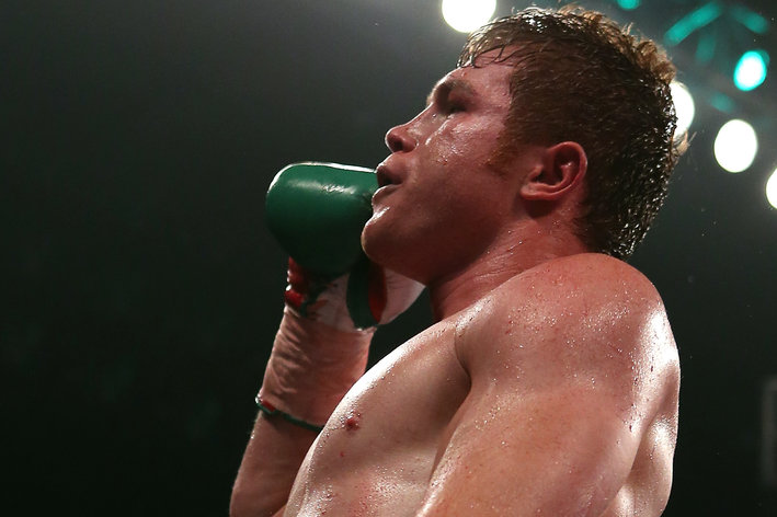 Canelo prefers Trout for may 4th fight... 152058395.0_standard_709.0