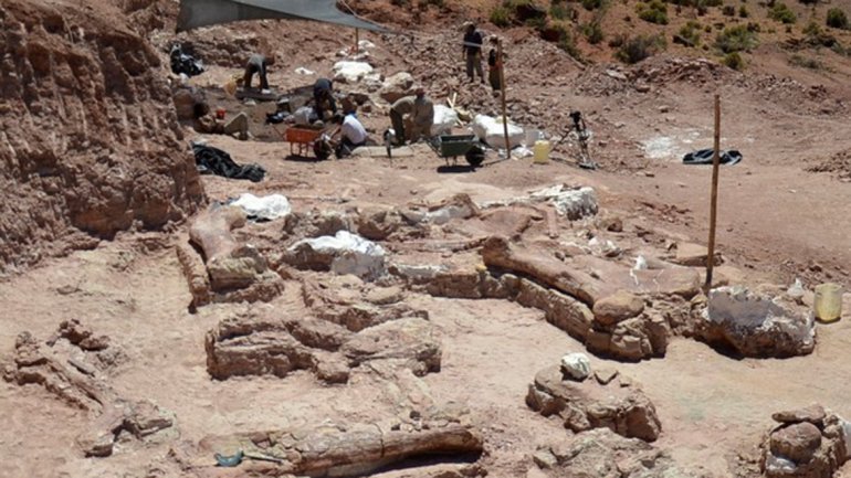 Encontraron más dinosaurios en Chubut y  analizan si la zona es un cementerio paleontológico 0011025817