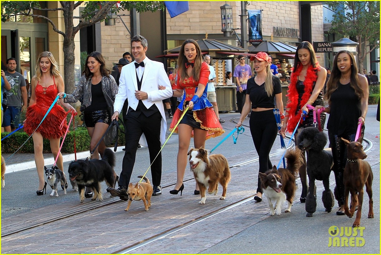 LADaily - Bachelor 22 - Arie Luyendyk Jr - SM Media - *Sleuthing Spoilers*  - Page 17 Arie-luyendyk-jr-takes-his-bachelor-girls-on-a-dog-walk-date-32