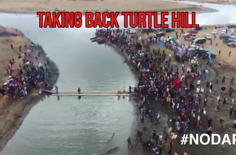 DAPL Water Protectors Build Bridge To Take Turtle Island  Turtle-759x500