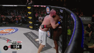 one of the worst ref stoppages of all time. bellator 113 Daniel_Gallemore_vs._Maurice_Jackson