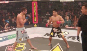 UFC 139 Judo Chop: Cung Le and the Sanshou Spinning Back Kick SmithLe4_medium
