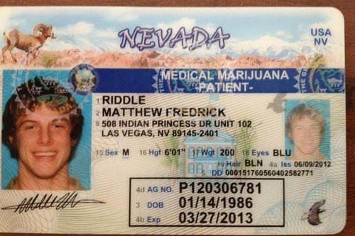 Matt Riddle tweets picture of his medical marijuana card A5q79cfciaaedzz.0_standard_500.0