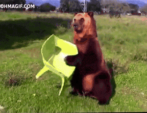 The Official Final Fantasy thread - Page 3 This-Is-Gonna-Be-Good-Bear-High-Gets-Comfortable-In-Its-Favorite-Plastic-Chair
