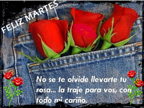 Buenos días, o buenas tardes..... - Página 9 Feliz_martes__cris_872450_t0