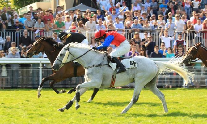 Prix La Barka 2014 (H., Gr.II, Auteuil) 18-05 : Thousand stars B37420d3a59c7e1eb93ea67f00b60885