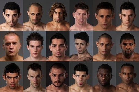 The UFC's new fighters 1zw0twl_medium