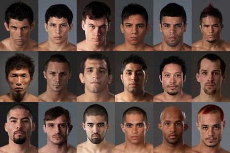 The UFC's new fighters 2cghflj_medium
