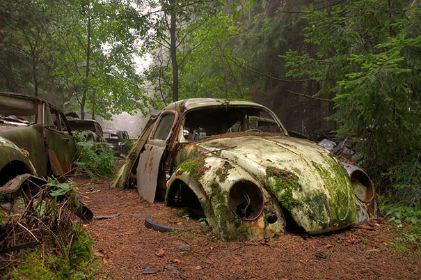 Monsterfriedhof - Seite 3 Chatillon-car-graveyard-abandoned-cars-cemetery-belgium-13