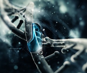 Quadruple Helix: Four Strand DNA In Human Cells Dna-300x250