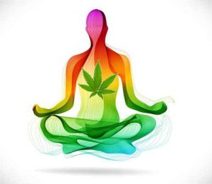 Yoga and Cannabis: A Controversial New Trend That’s Gaining Popularity Whyyoga-300x261