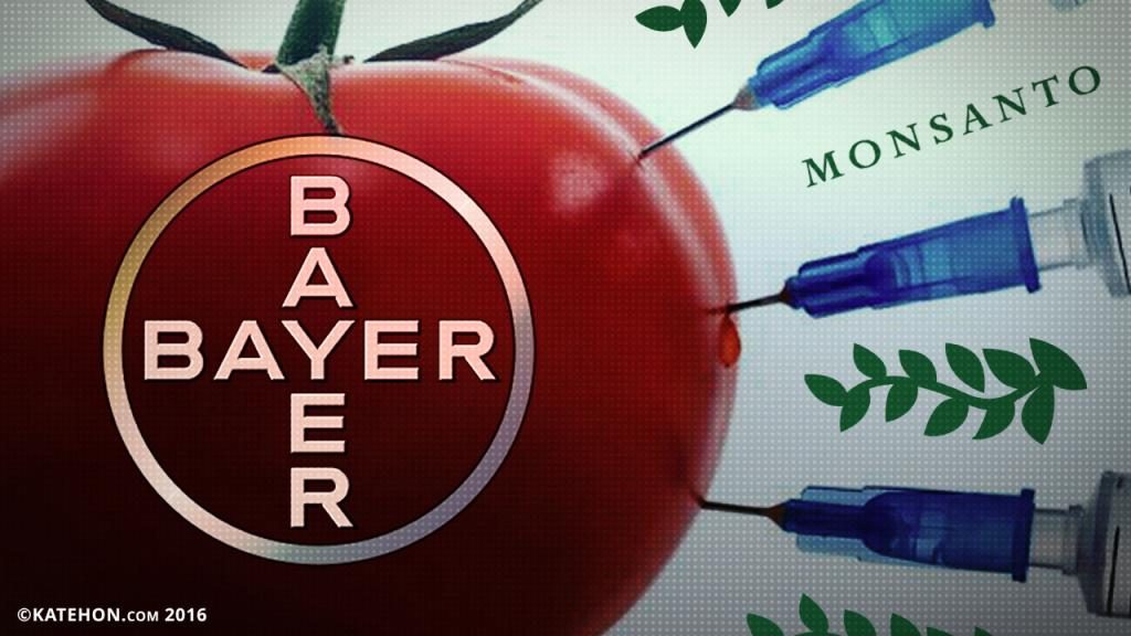 The Corporate Takeover of Cannabis: How Monsanto & Bayer Are Getting in on Marijauna Bayer_0_0-1024x576