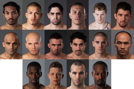 The UFC's new fighters Dr5gfm_medium