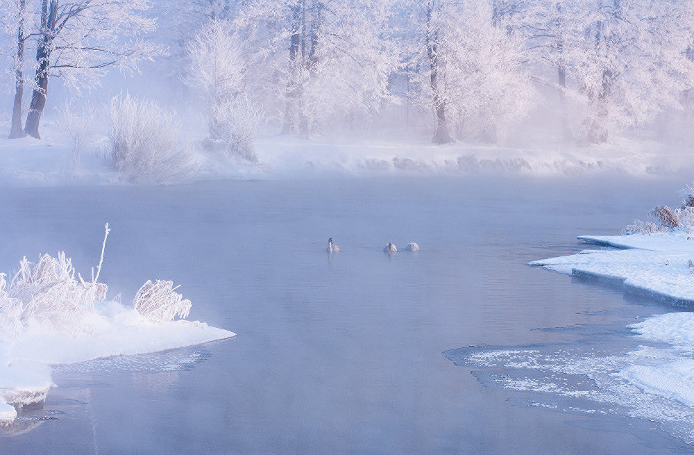 Mùa đông đẹp như mơ ở Belarus 1034103800