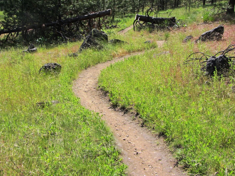 PACA Road Trip Ver. 2.0 SweetSingletrack