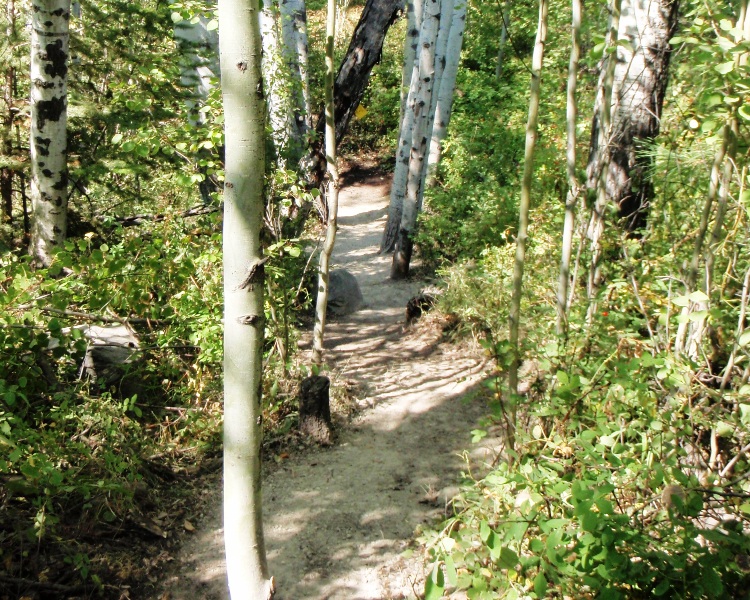 New Ellis Canyon Trail Diversion Project New%20Ellis%20Trail