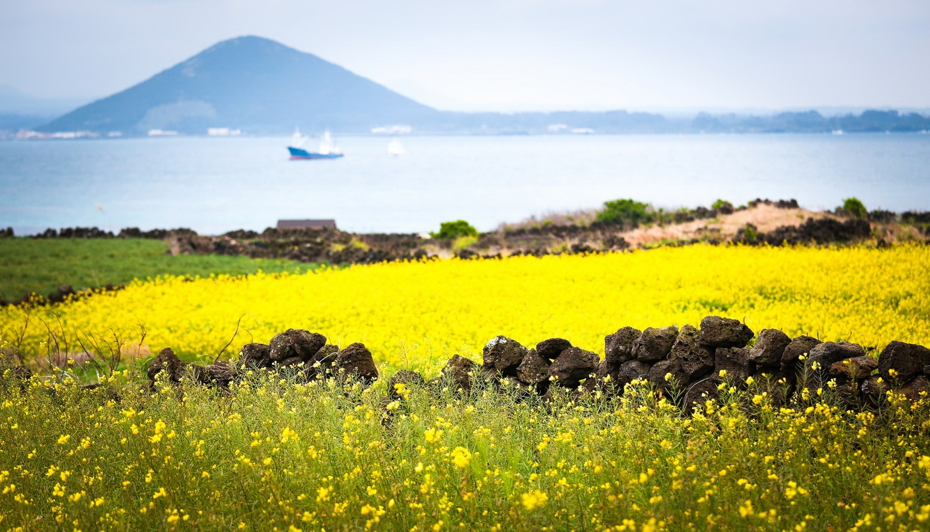 vé máy bay giấ rẻ đi jeju The-gioi-chao-don-mua-hoa-xuan.9