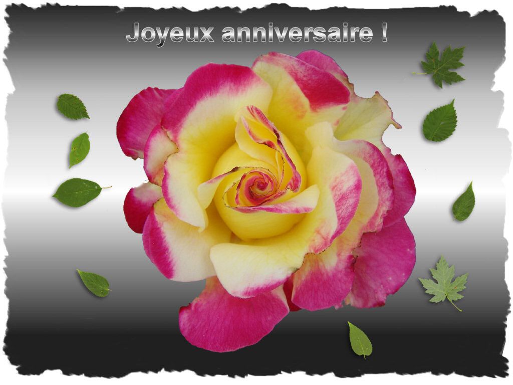 Anniversaire Digitale M9th191x