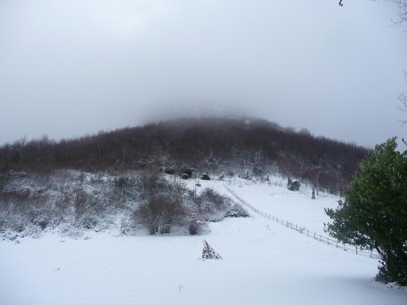 Du côté de Montsegur Montsegur7