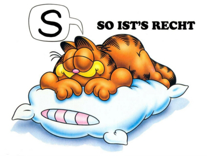 JUJU DODO Garfield_coussin