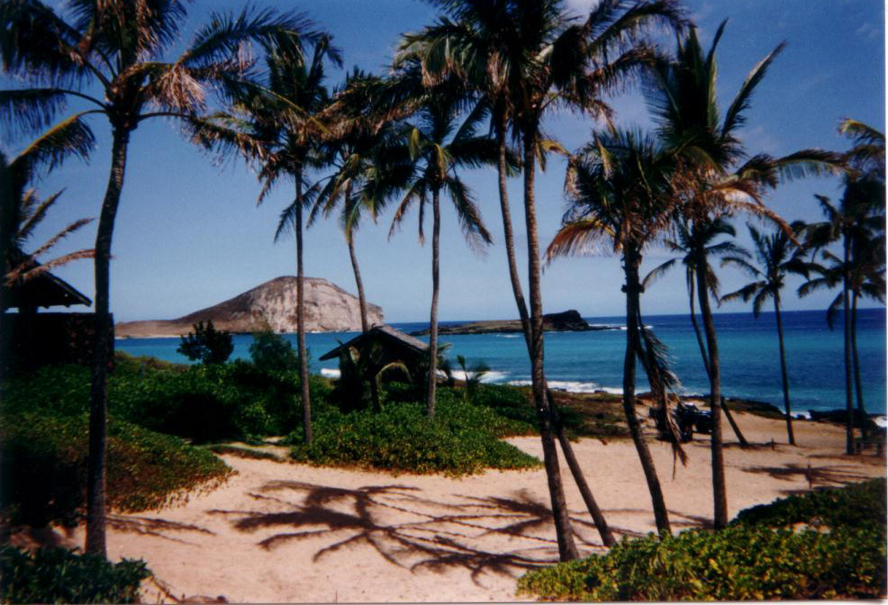      Hawai-oahu-plage