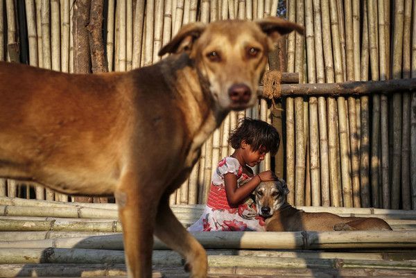 Animaux (un peu de tout,vidéos,textes,photos) F71ef671