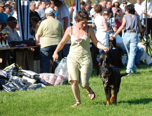 Tout arrive : NE Beauceron 2008 BastetNE_sanna3