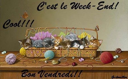 bon vendredi mes amies jcl E3b152bc