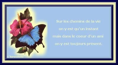 Belles citations - Page 9 Fewfqe4n