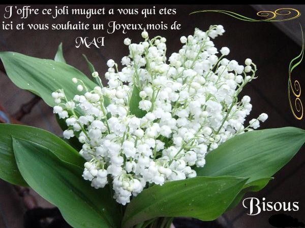 Ƹ̵̡Ӝ̵̨̄Ʒ ♥ Bonjour...Bonsoir...Quoi de neuf??? ♥ Ƹ̵̡Ӝ̵̨̄Ʒ . - Page 2 2d1fd168