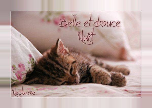 bonne soirée douce nuit - Page 6 56080bb2