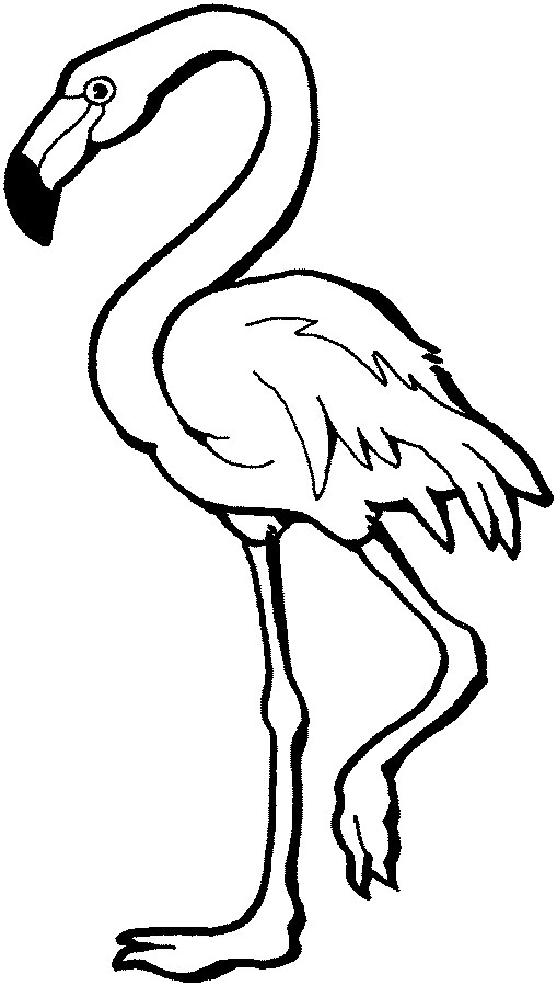 صور تلوين حيوانات Flamingo