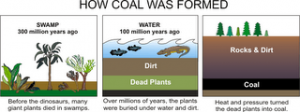 நமக்காக இயற்கையா, இயற்கைக்காக நாமா? Coalforming1-300x112