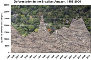 நமக்காக இயற்கையா, இயற்கைக்காக நாமா? Deforestation-300x199