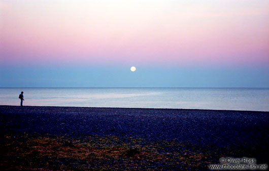 [Images] SOLEILS - Page 2 Napier-moon-over-beach