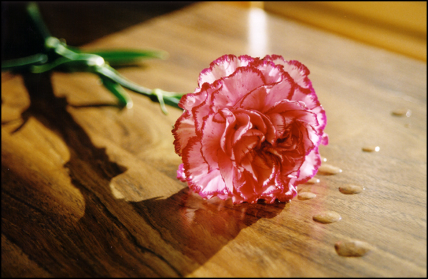 Mẹo vặt làm đẹp: Ý nghĩa sâu sắc của những loại hoa chúc mừng sinh nhật       4(2)