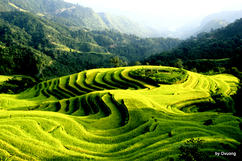 Mù Cang Chải - Nơi ta luôn muốn quay lại Hoang-su-phi